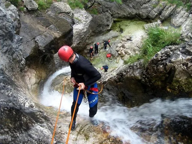 דירה D-d בובק